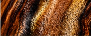 Chatoyant figured wood grain